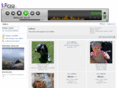 picasa.cz
