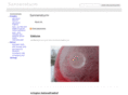 sonnensturm.net