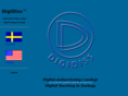 digidiss.com