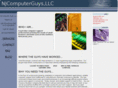 flcomputerguys.com
