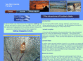 sailingmexico.net