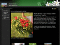 texartnursery.com