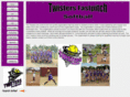 twistersfastpitch.com