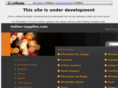 indian-supplies.com