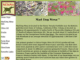 maddogmesa.com