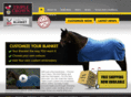 buildtheblanket.com