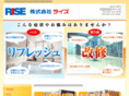 rise-painters.com