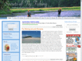 secretsofflyfishing.com
