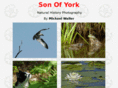 sonofyork.com