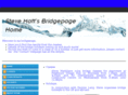 stevemattsbridgepage.com