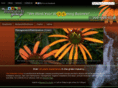 theelementsgroup.net