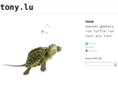 tony.lu