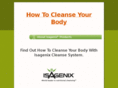 howtocleanseyourbody.net