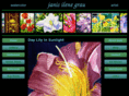 janisileneimages.com