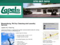 lapels-drycleaningbloom.com