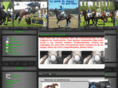 vetocheval.com