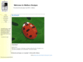 wallacedesigns.com