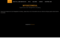 wyseconsul.com