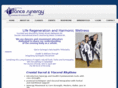 dancesynergymba.com