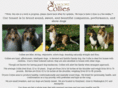 moorecollies.com