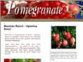 pomegranateoftexas.com