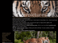 tigerpictures.info