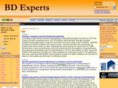 bd-experts.com
