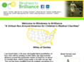 blindnesstobrilliance.com