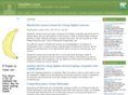 geraldtonlocal.com