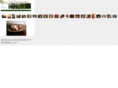 organicimpressions.net