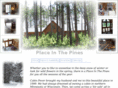 placeinthepines.com
