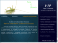 vipce.com