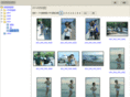 amber-blog.com