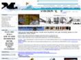 buykiteboard.com
