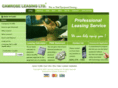 camroseleasing.com
