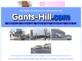 gants-hill.com