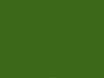 scodinzola.com