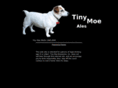 tinymoe.com