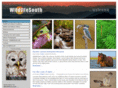 wildlifesouth.com