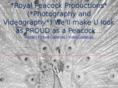 royalpeacockproductions.com