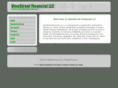 vinestreetfinancial.biz