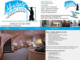 absoluteperfectioncleaningservices.com