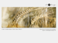 cdr-design.net