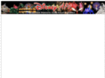 disneyaps.com