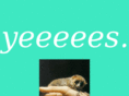 doesqqlikegus.com
