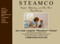 steamcoclean.biz