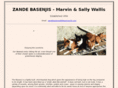 zandebasenjis.com