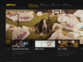 amtfuji.com