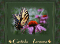 cantinhoternura.net