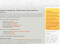 carpet-cleaning-pro.com